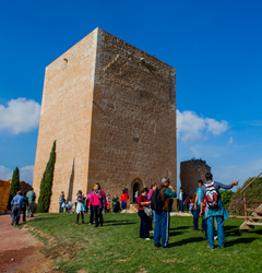 Torre del Espoln