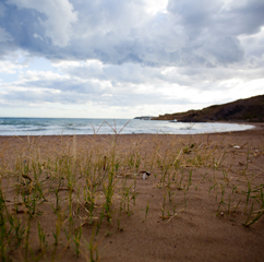 Parque Regional de Cabo Cope y Puntas de Calnegre