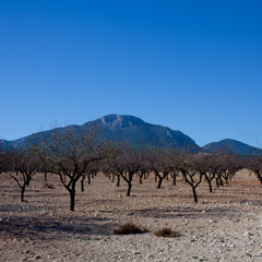 Las Tierras Altas de Lorca