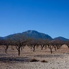 Las Tierras Altas de Lorca