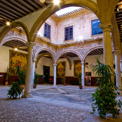 Patio enclaustrado Palacio de Guevara