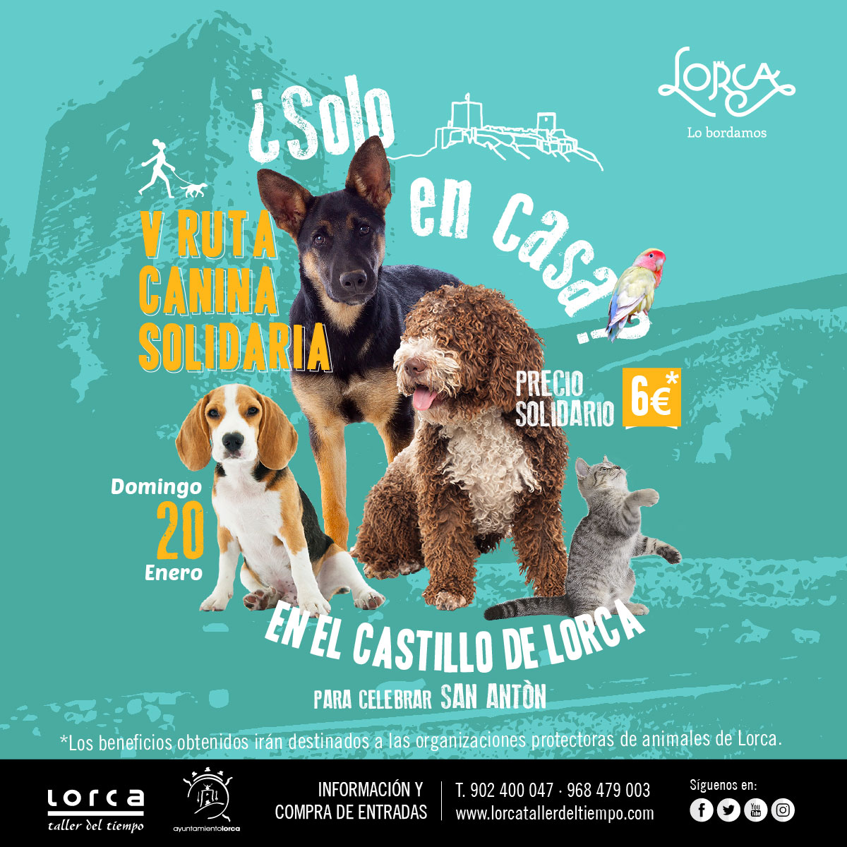 Ruta Canina al Castillo de Lorca