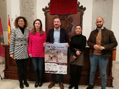 VII ruta canina